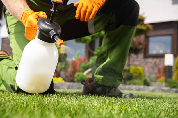 Best Pest Prevention Services  in Arkwright, SC