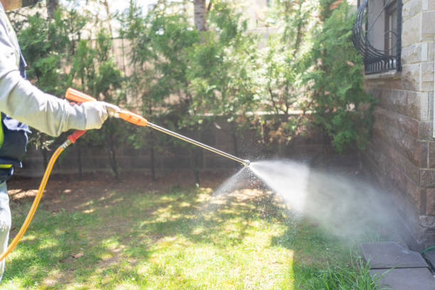 Best Mosquito Control Services  in Arkwright, SC