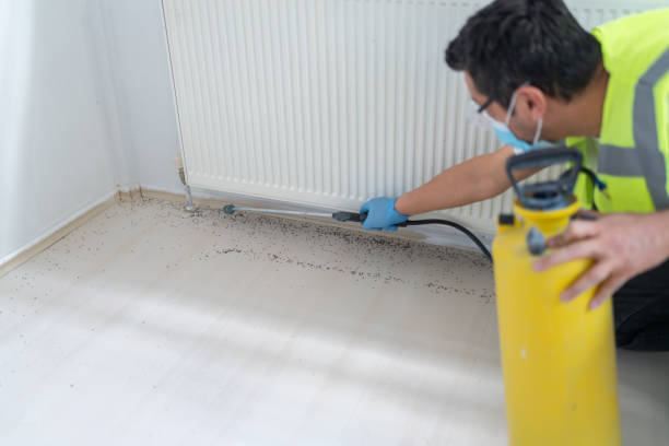 Best Bed Bug Extermination  in Arkwright, SC