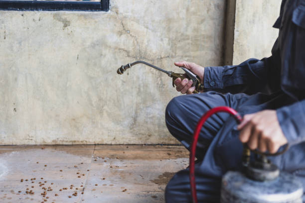 Best Wasp Removal Services  in Arkwright, SC