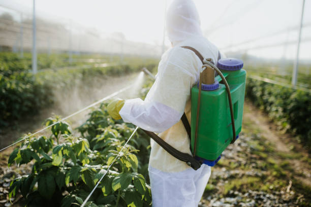 Arkwright, SC Pest Control Company